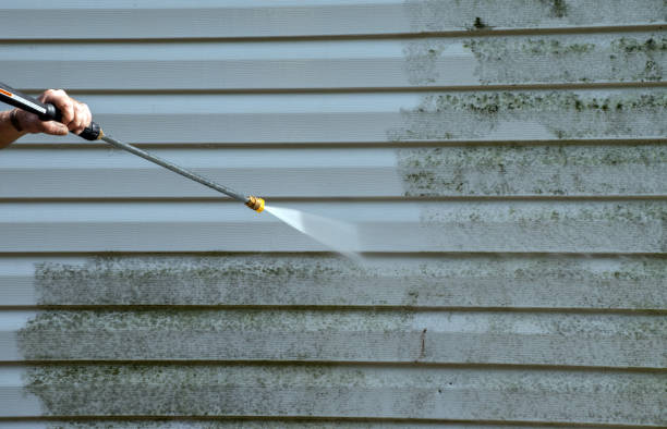 Professional  Pressure Washing Services in Mountain Lake, MN